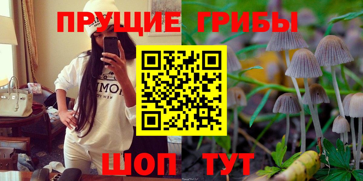 Галлюциногенные грибы Psilocybe Таганрог