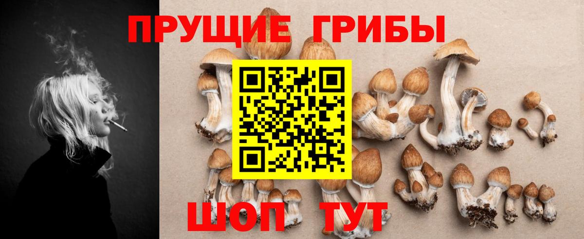 Псилоцибиновые грибы Magic Shrooms  где купить   Вход с VPN  Таганрог  Псилоцибиновые грибы мухоморы 